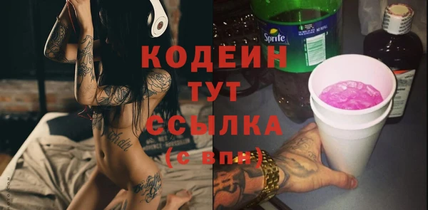 индика Магас