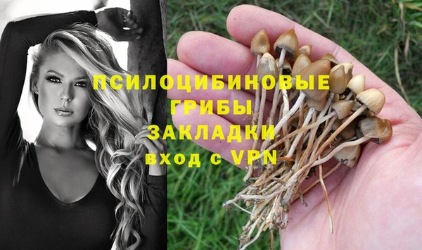 марки nbome Медвежьегорск