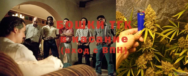 индика Магас