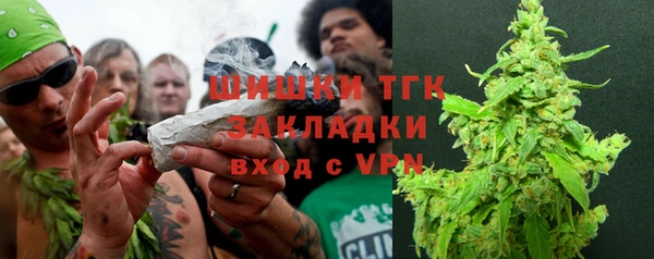 гидра Мегион