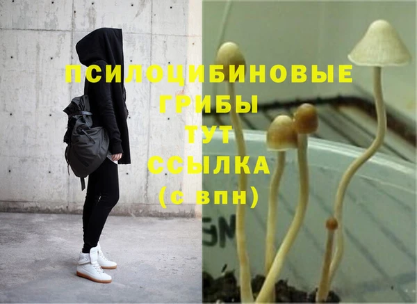 гидра Мегион