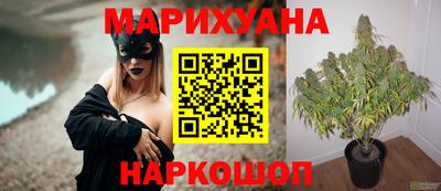прущая мука Гатчина