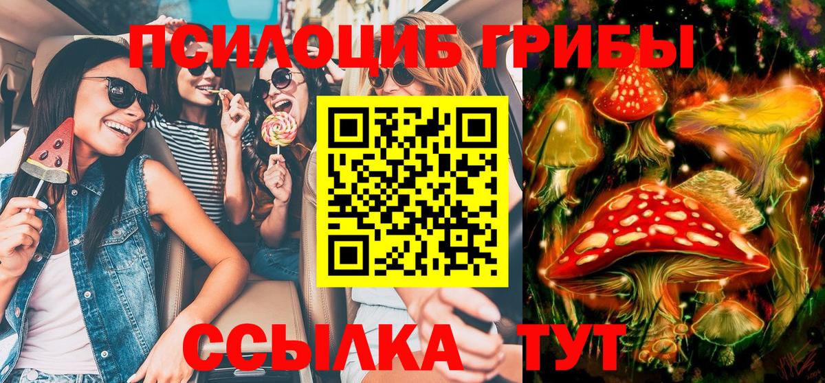 Галлюциногенные грибы Красногорск