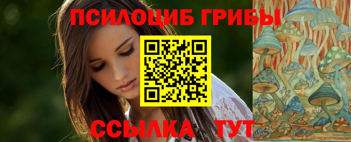 Галлюциногенные грибы GOLDEN TEACHER  дарнет шоп  Красногорск  Галлюциногенные грибы прущие грибы 