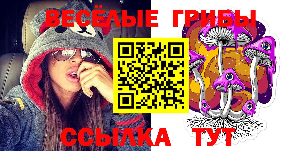 Псилоцибиновые грибы Psilocybe Красногорск