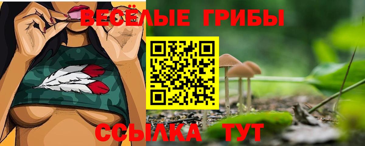 Псилоцибиновые грибы ЛСД  Вход с VPN  купить наркотики сайты  Красногорск 
